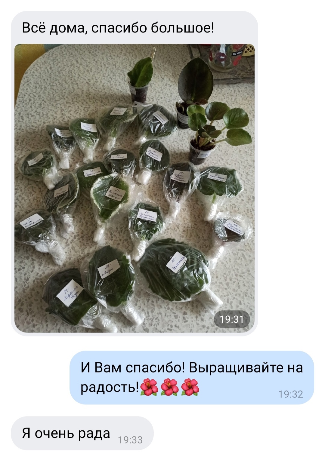 Отзыв покупателя