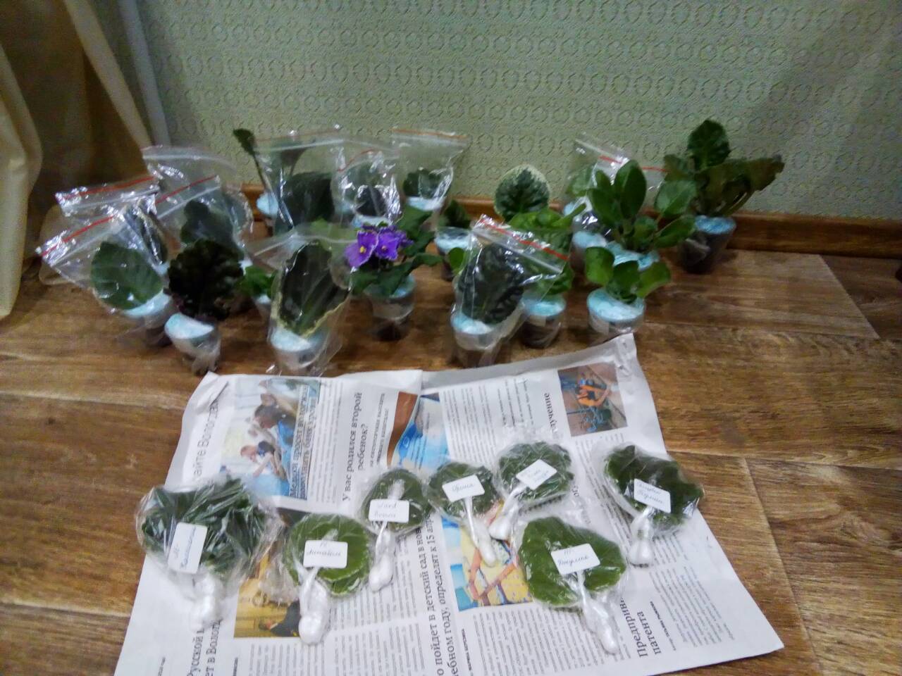 Отзыв покупателя